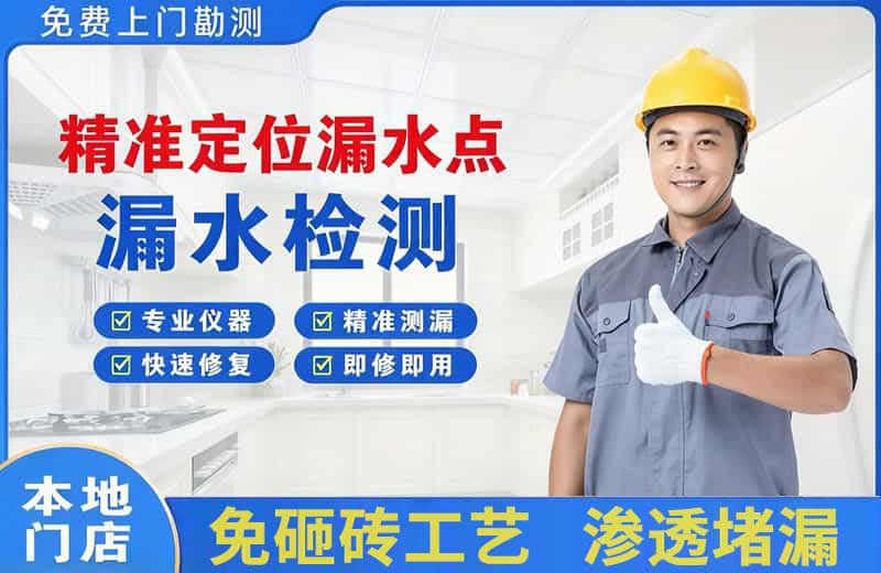 大名精准测漏点